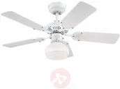 Wentylatory sufitowe - Westinghouse Princess Radiance II wentylator - miniaturka - grafika 1