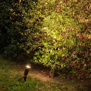 Faro Lorefar Reflektor i reflektor z grotem ziemnym Toni - Lampy ogrodowe - miniaturka - grafika 3