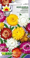 Nasiona i cebule - Toraf KWIATY Kocanka ogrodowa mix nasiona 0,5g 00418 - miniaturka - grafika 1