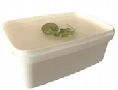 Balsamy i kremy do ciała - Organique Balsam Masło Shea Grecki 1kg - miniaturka - grafika 1