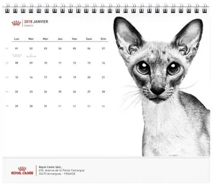 Royal Canin Maxi Sterilised 12 kg - Sucha karma dla psów - miniaturka - grafika 6