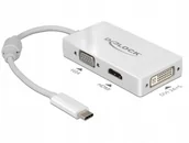 Adaptery i przejściówki - Delock 63924 Adapter Usb-c Vga / Hdmi / DVI - miniaturka - grafika 1