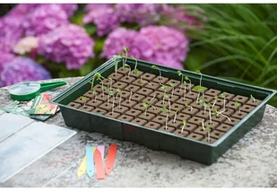 Nature Mini szklarnia parapetowa propagator, 35x23,5x11 cm 6020216 Outsideliving - Szklarnie ogrodowe - miniaturka - grafika 3