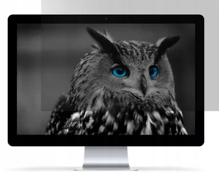 NATEC Filtr prywatyzujący RODO OWL 15,6" 16:9 NFP-1475 - Filtry prywatyzujące - miniaturka - grafika 5