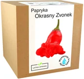 Nasiona i cebule - Zestaw do Uprawy ozdobna papryka Okrasny Zvonek - miniaturka - grafika 1
