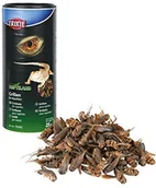 Pokarm dla płazów i gadów - Trixie 76392 grillowanie, suszone 76392 - miniaturka - grafika 1