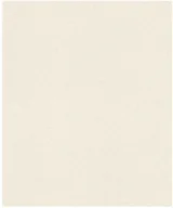 Tapety - RASCH Tapeta Sparkling 898231 10,05x0,53/Tapeta Winylowa Na Podłużu Flizelinowym/GAT 1 - miniaturka - grafika 1