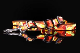 Haas F1 Team ZOO LESZCZ (PL) Solidna Regulowana Z Obrożą 2w1 Dla Psa Skóra Naturalna 30 mm / 220 cm ZL01809 ZOO LESZCZ (PL) - Smycze dla psów - miniaturka - grafika 2