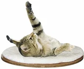 Legowiska dla kotów - Kerbl KERBL 81503 wandliege krojenia owalna 50 x 35 x 1.5 cm dolomitu - miniaturka - grafika 1