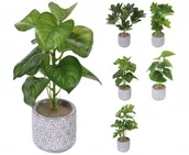 Sztuczne kwiaty - ASJ Commerce Sztuczna roślina kwiat roślinka w doniczce 30 cm 837900000 - miniaturka - grafika 1