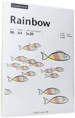 Papier do drukarek - Papyrus Papier xero A4 kolor RAINBOW - mix kolor pastelowy - miniaturka - grafika 1