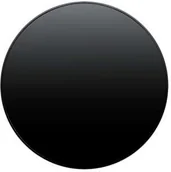 Klawisze i ramki - Berker R1/R3 czarny klawisz ściemniacza obrotowego B_11372045 - miniaturka - grafika 1