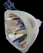 Lampy do projektorów - Lampa do PANASONIC PT-DZ680ELSJ - oryginalna lampa bez modułu ET-LAD60 - miniaturka - grafika 1