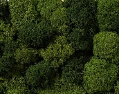 Akcesoria i części modelarskie - Noch NOCH 08610 - zabawki, dekoracje, jasne i ciemnozielone, sortowane 8610 - miniaturka - grafika 1