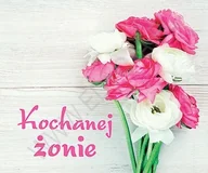 Aforyzmy i sentencje - Edycja Świętego Pawła praca zbiorowa Perełka 249. Kochanej żonie - miniaturka - grafika 1