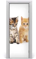 Naklejki na drzwi i meble - Tulup.pl Naklejka samoprzylepna na drzwi Szary i rudy kot 85x205cm - miniaturka - grafika 1