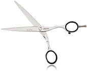 Kosmetyki do stylizacji włosów - Jaguar Silver Line Ocean, 5.75 cala, 1er Pack (1 X 1 sztuki) 96325089 - miniaturka - grafika 1