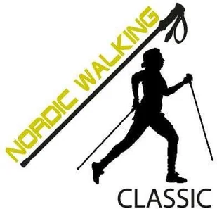 Ferrino Kije Nordic Walking Horn 110 cm Karbon 16 mm acc-4997-0 - Kije trekkingowe - miniaturka - grafika 2