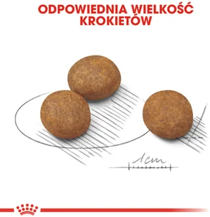 Royal Canin ROYAL CANIN Maxi Puppy 15kg + Maxi Puppy saszetka 140g 252950 - Sucha karma dla psów - miniaturka - grafika 4