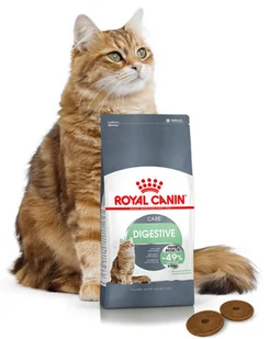 Royal Canin Digestive Care 10kg PROMOCYJNE OPAKOWANIE 4+1 242110 - Mokra karma dla kotów - miniaturka - grafika 3