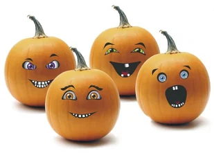 Arpex NAKLEJKI NA DYNIE zakupy dla domu i biura! HA9777 - Dekoracje domu - miniaturka - grafika 2