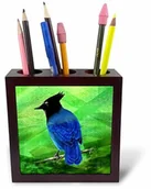 Pojemniki biurowe - 3dRose 3dRose ph_243345_1 12,5 cm"A Stellars Jay cyfrowy obraz" uchwyt na długopisy do płytek - zielony ph_243345_1 - miniaturka - grafika 1