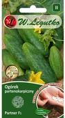 Nasiona i cebule - Legutko Ogórek partenokarpiczny PARTNER F1 - miniaturka - grafika 1