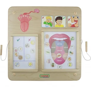 Masterkidz MASTERKIDZ Tablica Edukacyjna Zmysł Wzroku ME15815 - Tablice dla dzieci - miniaturka - grafika 7