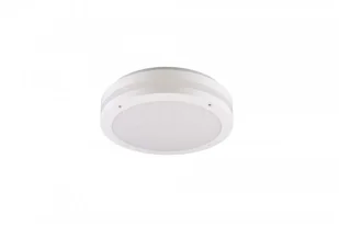 RL Kendal Biały LED 12W 3000K IP54 Lampa sufitowa zewnętrzna Plafon RL R62151131 R62151131 - Lampy sufitowe - miniaturka - grafika 2