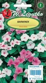 Nasiona i cebule - Legutko Barwinek różowy mieszanka 5903837349203 - miniaturka - grafika 1