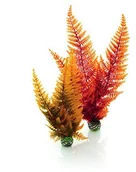 Dekoracje do akwarium - Oase Reef One roślin Set - miniaturka - grafika 1