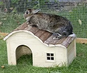 Klatki dla gryzoni - Kerbl Kerl Nagerhaus z łukowatym dachem Nature, 40  x  25  x  25 cm - miniaturka - grafika 1