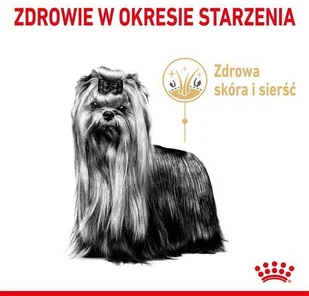Royal Canin Yorkshire +8 1,5 kg - Sucha karma dla psów - miniaturka - grafika 4