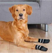 Specjalistyczne artykuły dla zwierząt - TRIXIE TRIXIE Skarpetki Dla Psa Antypoślizgowe SM 2 szt - miniaturka - grafika 1