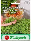 Nasiona na kiełki - Legutko Bazylia właściwa nasiona microgreens BIO Sweet Large - miniaturka - grafika 1