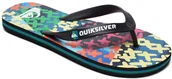 Buty dla chłopców - Quiksilver japonki ęce MOLOKAI VARIABLE Blue/Blue/Green XBBG - miniaturka - grafika 1