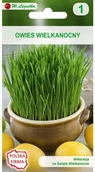 Nasiona i cebule - Legutko Owies wielkanocny - miniaturka - grafika 1