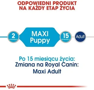 Royal Canin Size Maxi Puppy karma mokra w sosie dla szczeniąt, od 2 do 15 miesiąca życia, ras dużych saszetka 140g 16428 - Mokra karma dla psów - miniaturka - grafika 3
