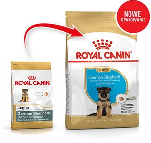 Royal Canin German Shepherd Junior 12 kg - Sucha karma dla psów - miniaturka - grafika 2