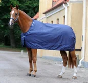 Derki dla konia - Bucas Derka stajenna / podpinka 150g MULTI STABLE UNDERBLANKET SD - Bucas - navy - miniaturka - grafika 1