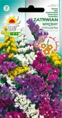 Nasiona i cebule - Toraf Zatrwian wrębny mix Nas000523 - miniaturka - grafika 1
