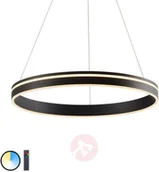 Systemy inteligentnych domów - Paul Neuhaus Inteligentna lampa sufitowa ciemnoszara 59 cm z pilotem - Ronith - miniaturka - grafika 1