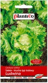 Nasiona i cebule - Plantico Sałata krucha Ludwina - miniaturka - grafika 1