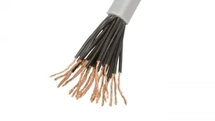 LappKabel Przewód sterowniczy OLFLEX CLASSIC 110 25G1 300/500V (1119225) - Przewody elektryczne - miniaturka - grafika 2