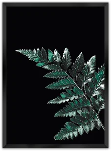 Dekoria Dekoria Plakat Dark Fern Leaf 70 x 100 cm Ramka Czarna 223E-000-19 - Plakaty Dekoria Dekoria Plakat Dark Fern Leaf 70 x 100 cm Ramka Czarna 223E-000-19 - Plakaty - miniaturka - grafika 1