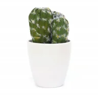 Sztuczne kwiaty - Sztuczne Kwiaty doniczka Kaktus 15cm Różne Wzory - miniaturka - grafika 1