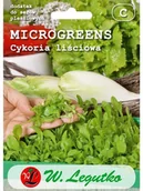 Nasiona na kiełki - Legutko Cykoria liściowa - miniaturka - grafika 1