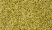 Akcesoria i części modelarskie - Noch Jeszcze 07091  Wild trawy, 6 MM, Beige - miniaturka - grafika 1