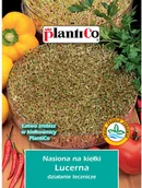 Nasiona i cebule - Plantico Nasiona na Kiełki lucerny - miniaturka - grafika 1