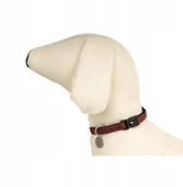 Smycze dla psów - dr Seidla dla psa 25mm Bordowa - miniaturka - grafika 1